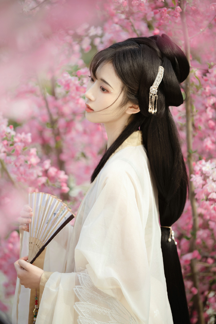 《天水姜伯约》第四集《九伐中原》最新篇章揭晓！